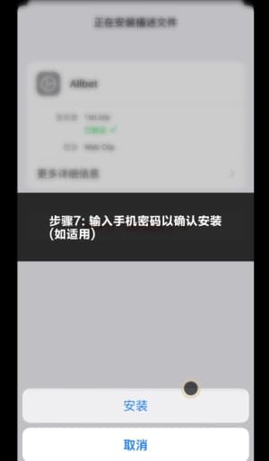 欧博ABG苹果免越狱应用安装流程拆解_新手从授权信任到顺利进场截图7